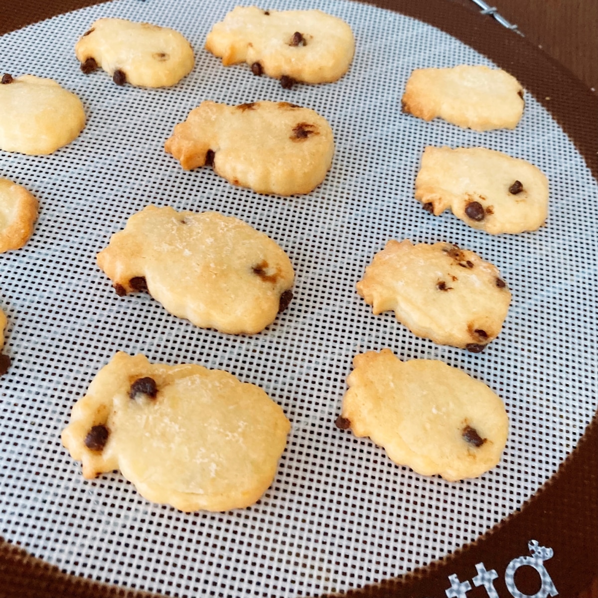 全卵使用 サクサク チョコチップクッキー レシピ 作り方 By たんころちゃん 楽天レシピ 全卵使用 サクサク チョコチップクッキー レシピ 作り方 By たんころちゃん 楽天レシピ